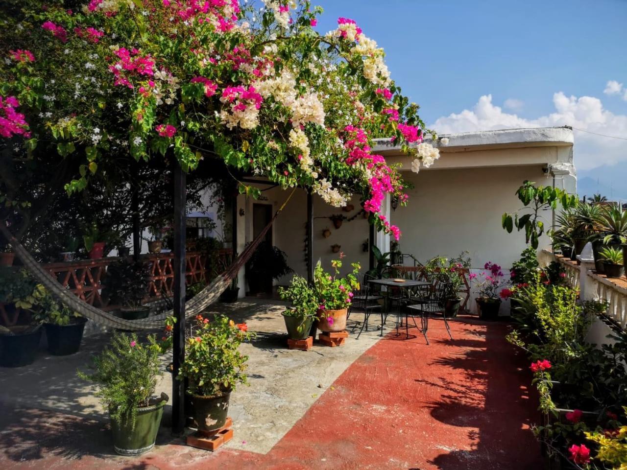 El Diablo Y La Sandia B&B Oaxaca Esterno foto